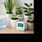 EasyWater Plants - Nie wieder trockene Pflanzen